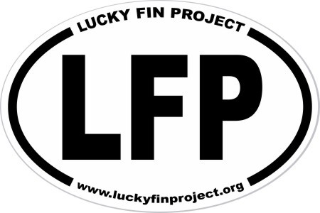 LFP 4 x 6 inch Oval Bumper Sticker LFP-Bumper