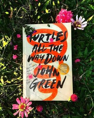 Turtlers all the way down