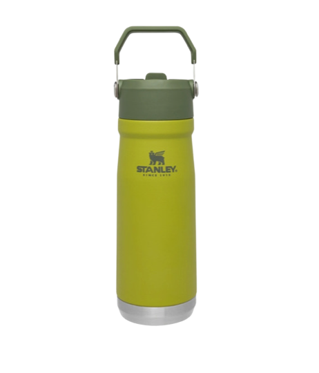 BOTELLA FLIP STRAW 650ML ALOE STANLEY 10-09991-028