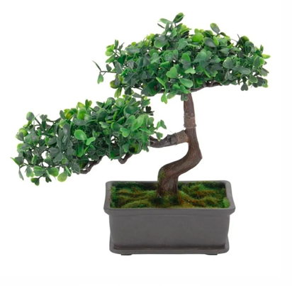 MACETA CON BONSAI 22CM SURT