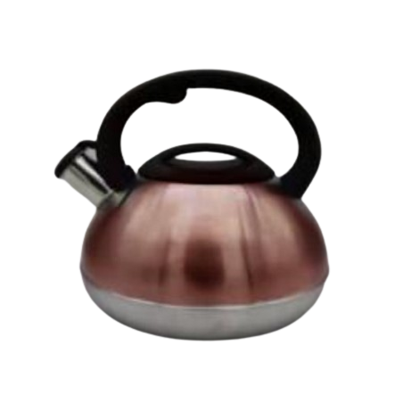 CALDERA ACERO INOX C/PINTAS 3LTS COMET