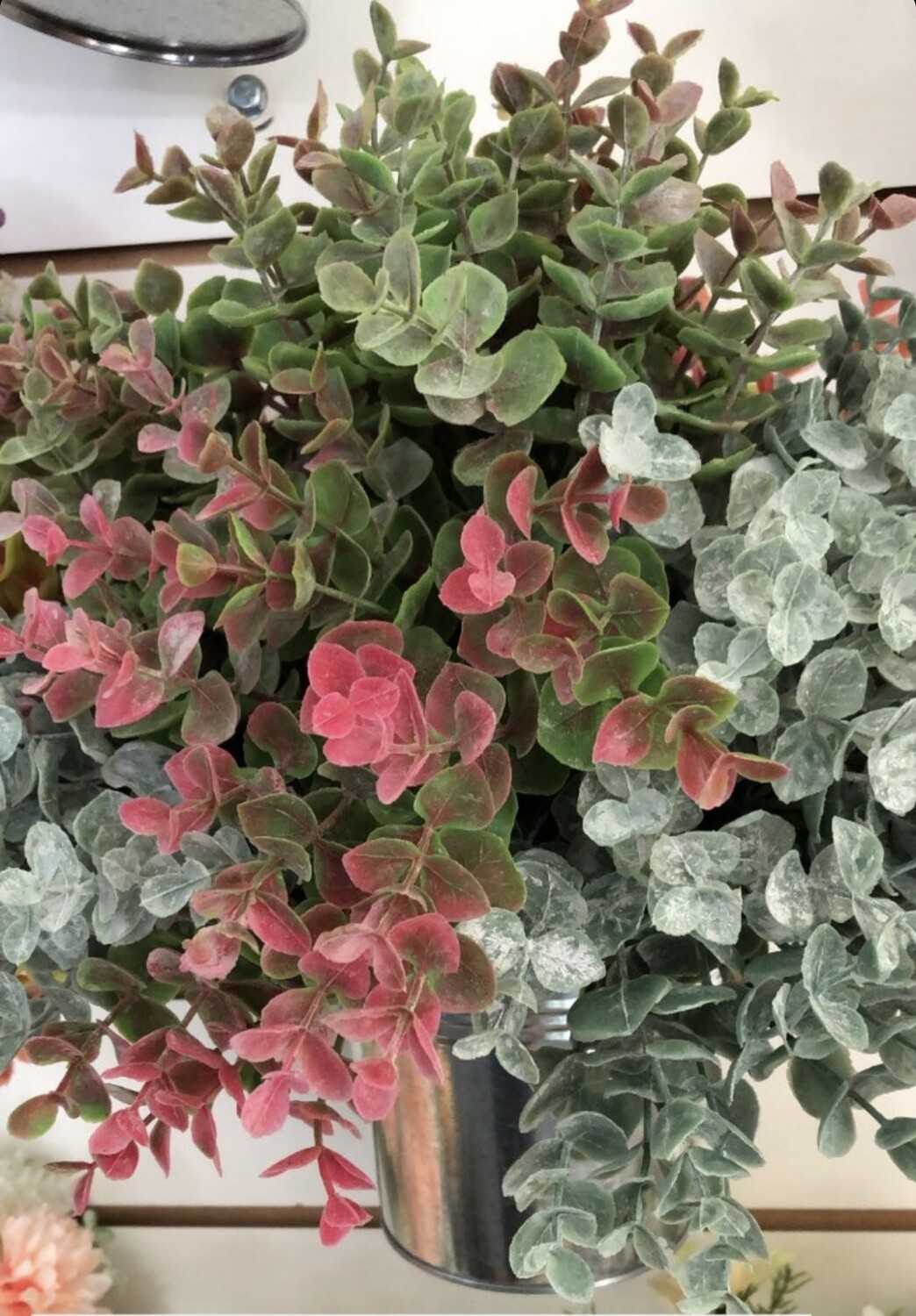 RAMO EUCALIPTUS SURTIDO