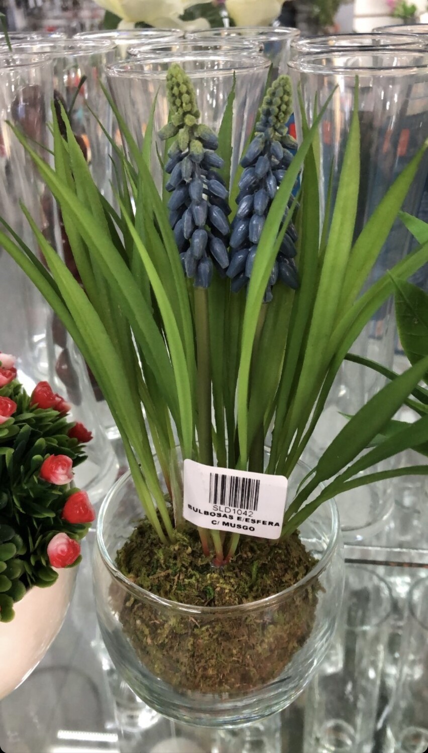 BULBOSAS EN ESFERA C/ MUSGO