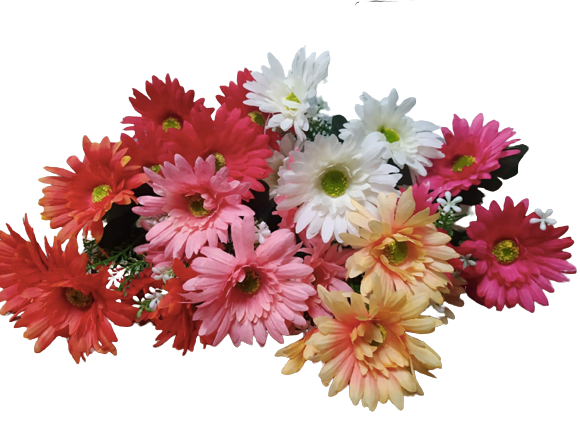 RAMO GERBERAS X5