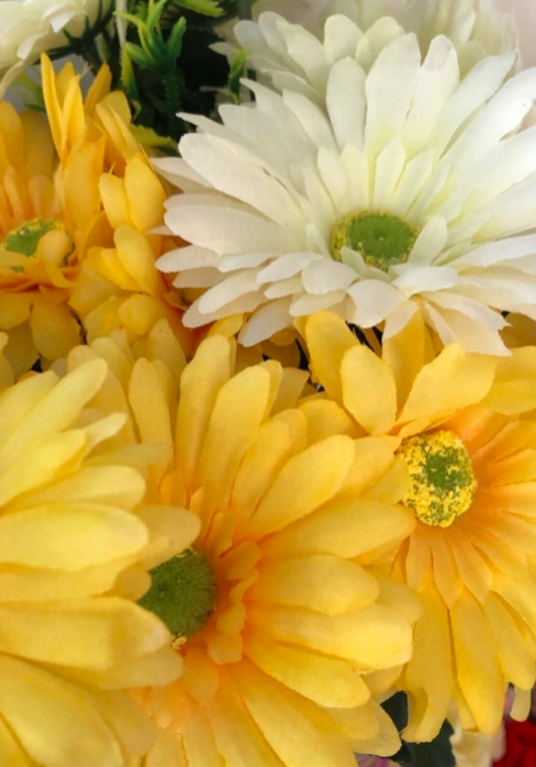 RAMO GERBERAS X9 B