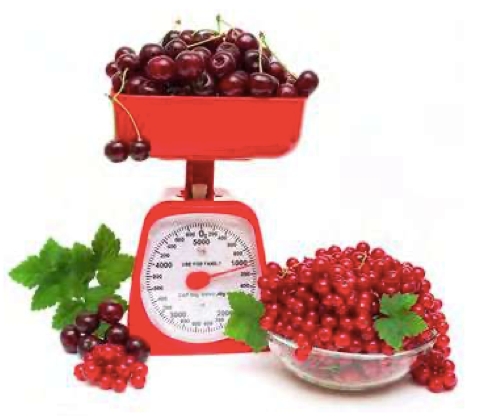 BALANZA DE COCINA 5 KG