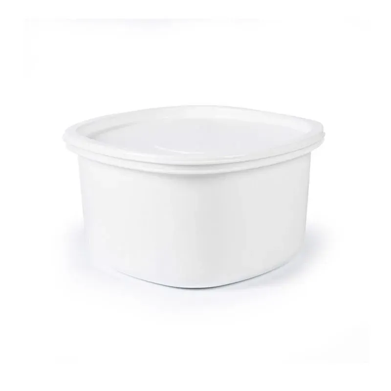 CONTENEDOR PLUS CUADRADO 2.5LTS TAPA BLANCO ESTRA