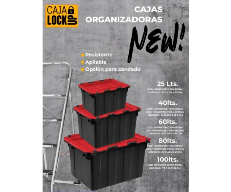 CAJA LOCK UP 25LTS 45.5X34X25  SANREMO