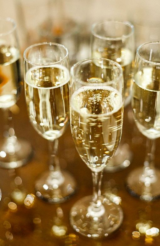 Copa flauta ALQUILER