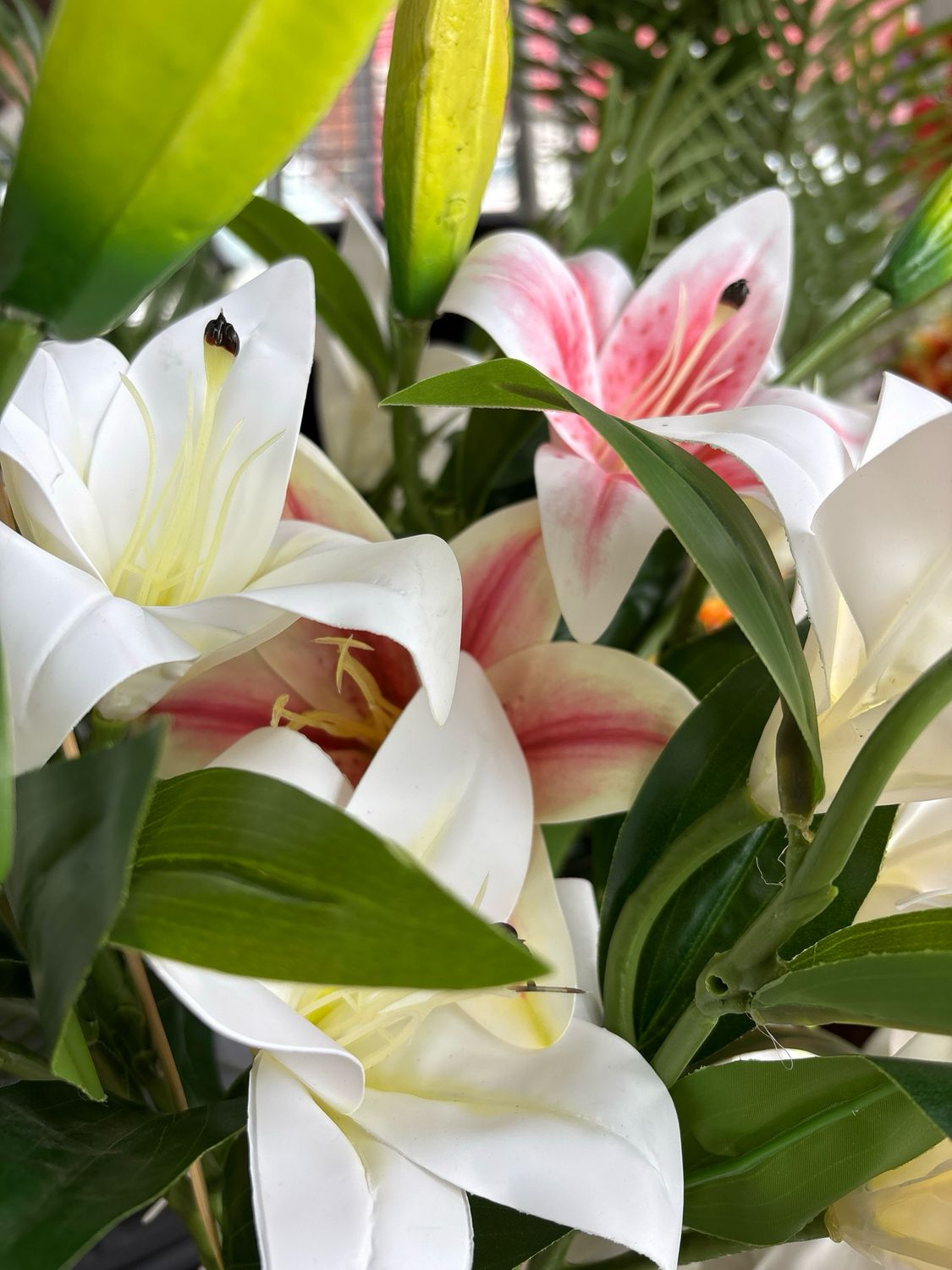 VARA LILIUM COLORES