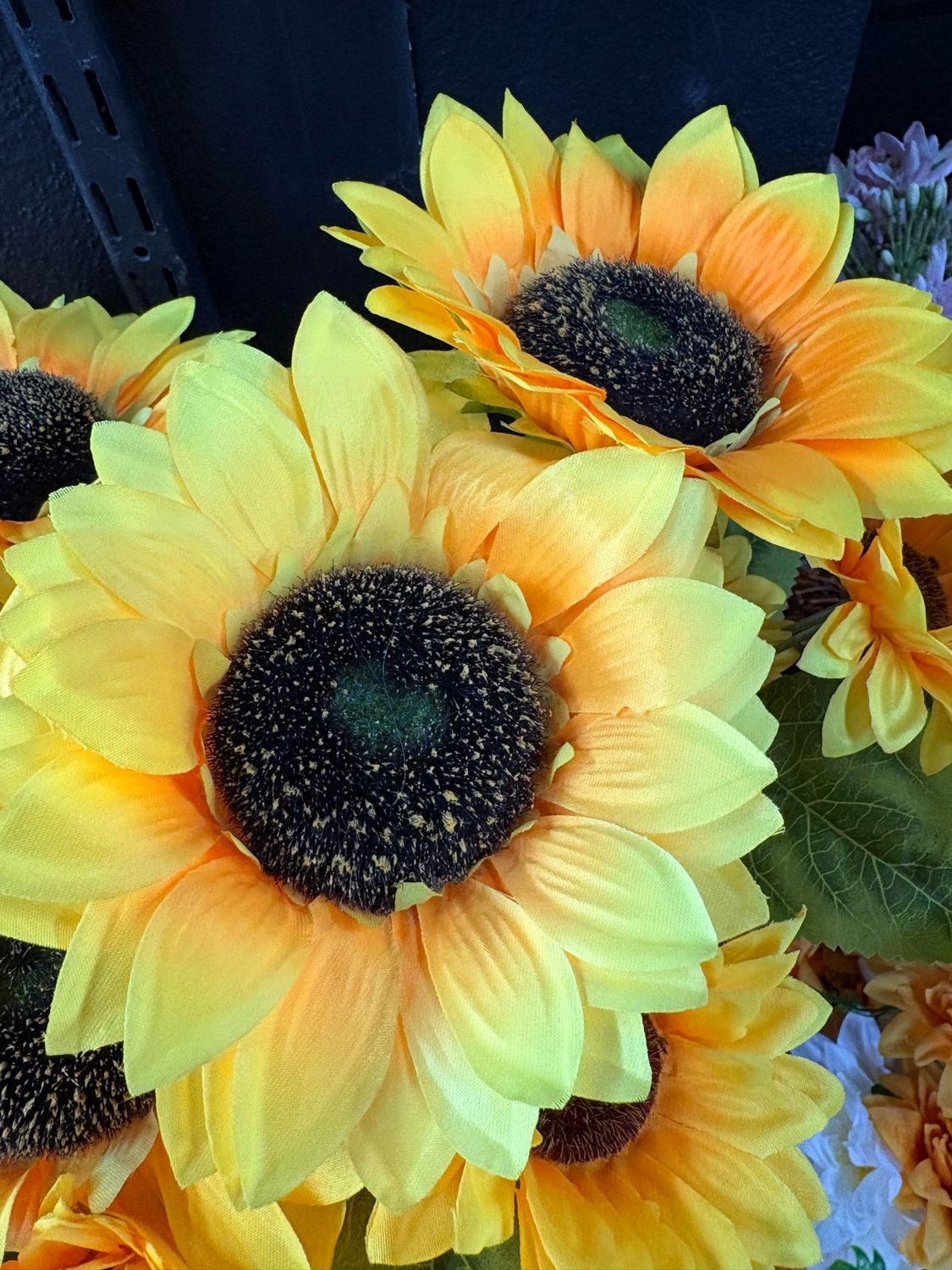 VARA GIRASOL MEDIANO