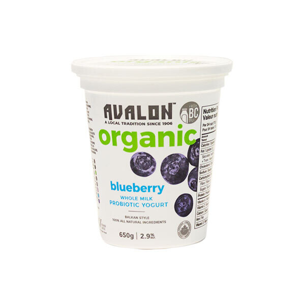 Avalon Yogurt Blueberry 650g