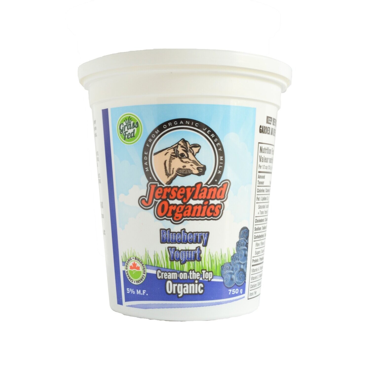 J'Land Organics Yogurt Blueberry 650g