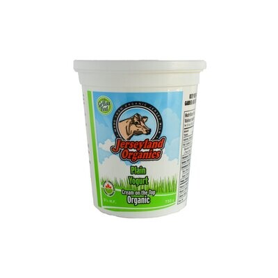J'Land Organics Yogurt Plain 650g