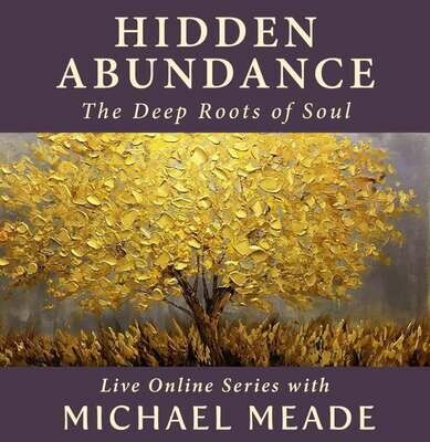 Hidden Abundance - Live Online Series