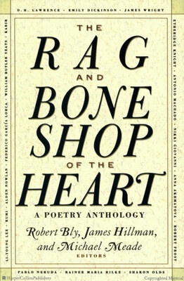 Rag and Bone Shop of the Heart: Poems for Men