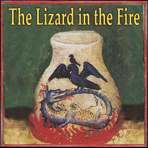 The Lizard in the Fire