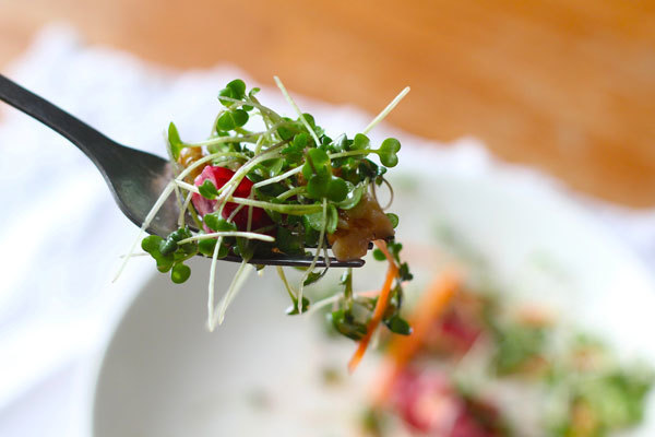 Baby microgreens salad with grated carrots