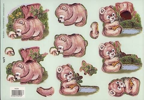 Stansvel TBZ dieren