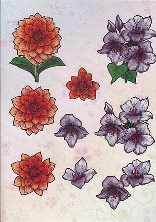 A Stansvel  bloemen