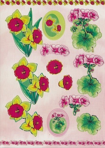 A Stansvel narcissen