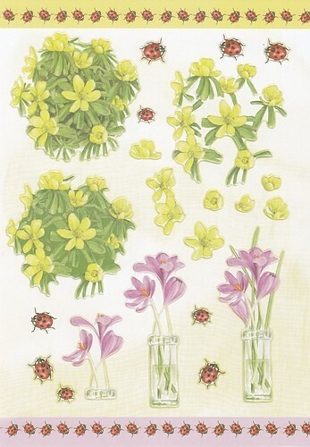 A Stansvel mooie  bloemen