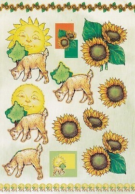 A Stansvel zomer zonnebloemen