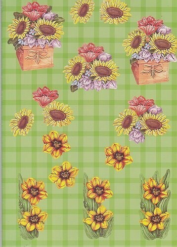 A Stansvel  zonnebloemen