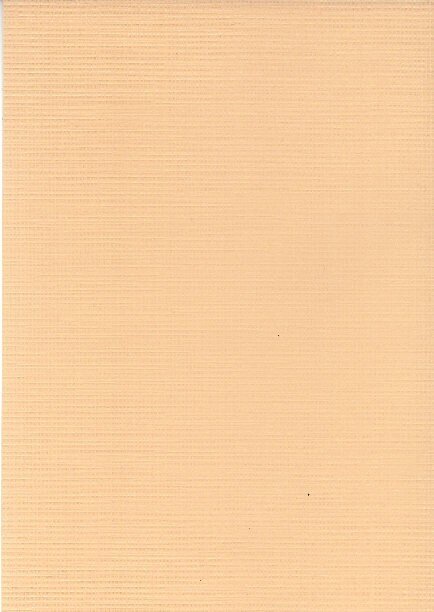 A5 card paper Foliart beige 10x