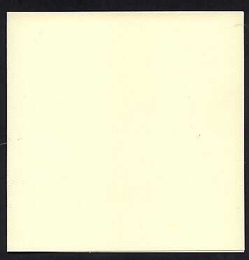 10 Vierkante kaarten 16.5 x 16.5 creme