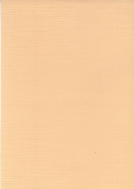 A5 card paper Foliart  beige 10x