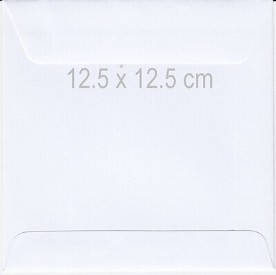 10 vierkante enveloppen 12.5 x 12.5 cm @
