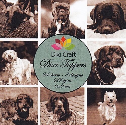 Dixi topper