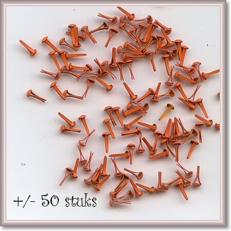 3 mm brads  oranje