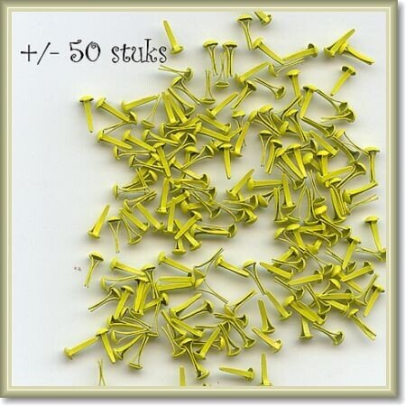 3 mm brads  Yellow