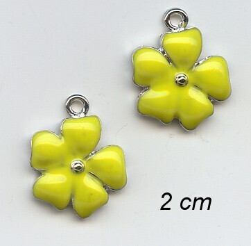 Enamel Charm 2x