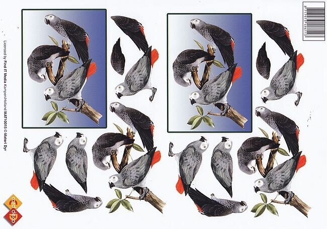 Knipvel dieren papegaai