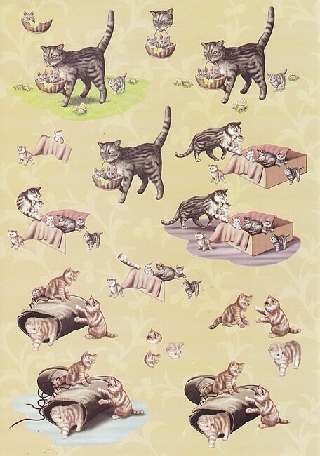 Knipvel dieren poesjes