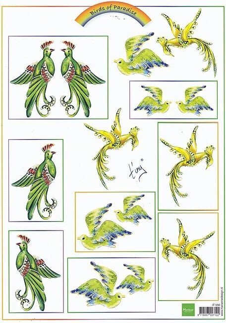 Knipvel dieren vogels