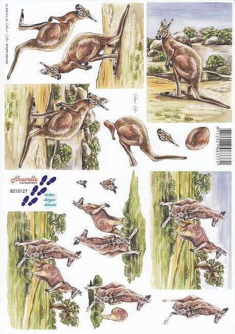 Knipvel kangaroo