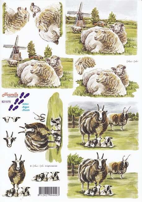 Knipvel schapen