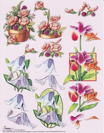 Knipvel bloemen