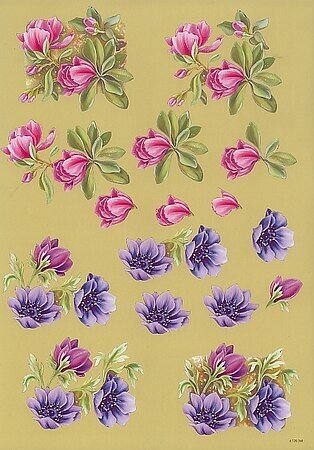 Knipvel bloemen