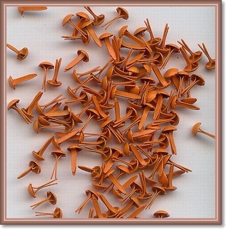 4,5 mm brads  100 stuks