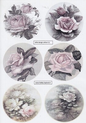 Vellum Jellie design rozen
