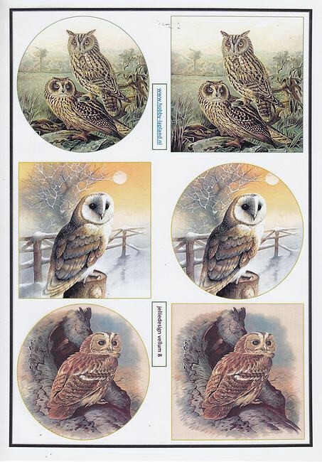 vellum owls