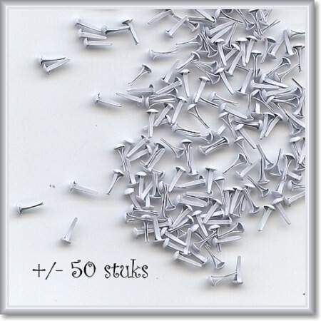 3 mm brads  wit