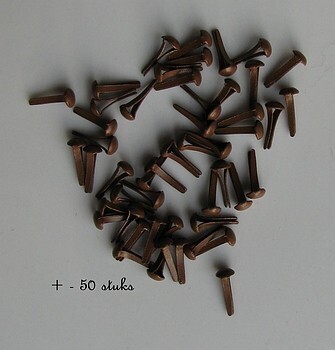 3 mm brads  bruin
