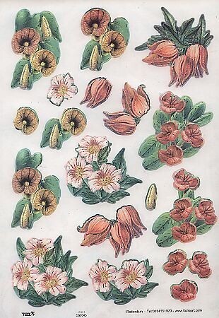 Stansvel TBZ bloemen