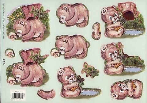 Stansvel TBZ dieren